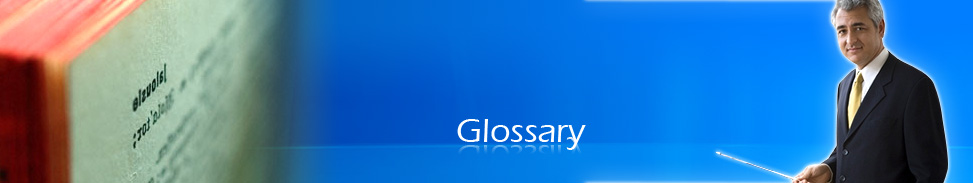 Glossary