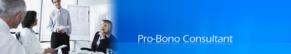 Pro-Bono Consultant